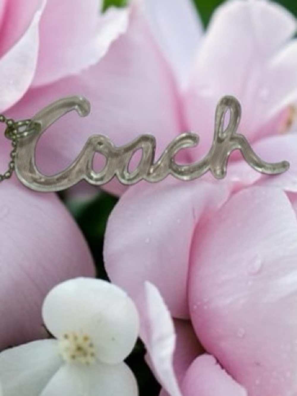 Coach Poppy clear transparent acrylic script logo hangtag with silver ball chain